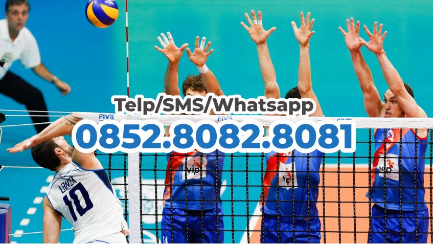 distributor karpet lapangan voli harga grosir pabrik
