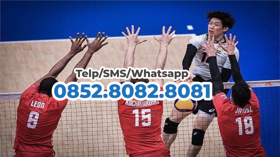 jual karpet lapangan voli harga grosir pabrik