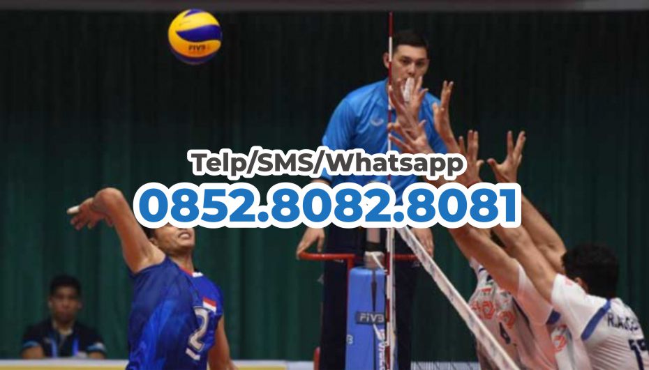 jual kursi wasit voli harga grosir pabrik