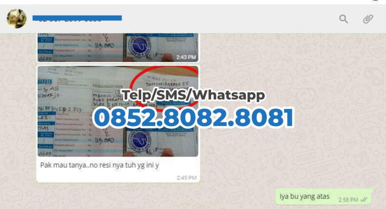 testimoni produsen tiang voli portable